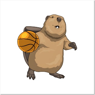 Beaver Basketball player Basketball Posters and Art